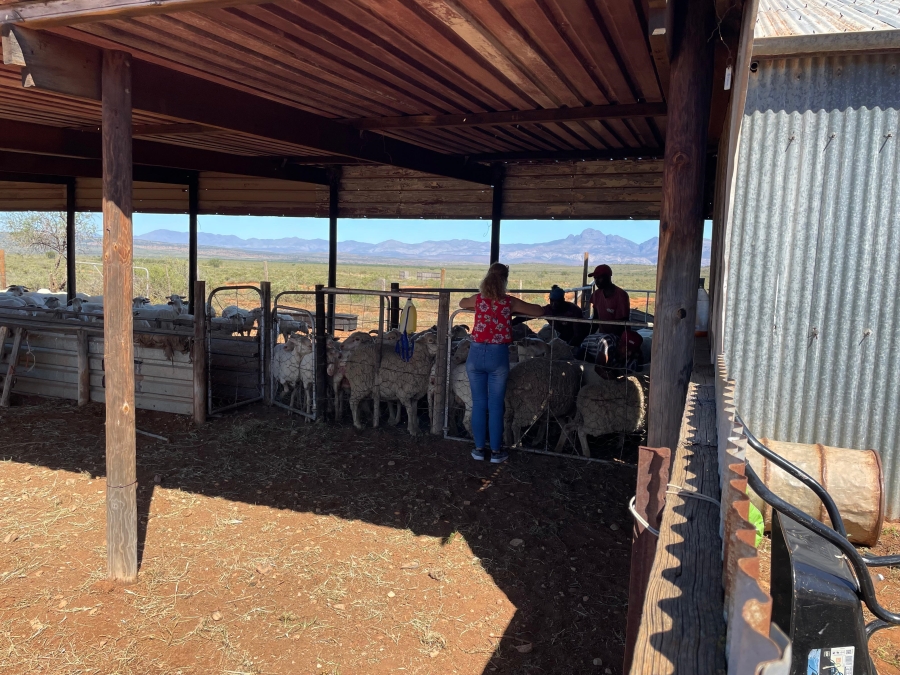 0 Bedroom Property for Sale in Steytlerville Eastern Cape